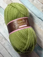 Meadow - Stylecraft Special DK Yarn - Shade 1065